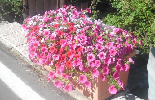 Casa Walter- VDA-LA THUILE- CIR 0024 - Foto 38