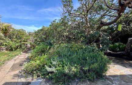 Le Club des Cigales - Foto 23