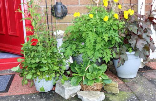 Hottub-nature-familyfriendly-wifi-parking - Foto 9