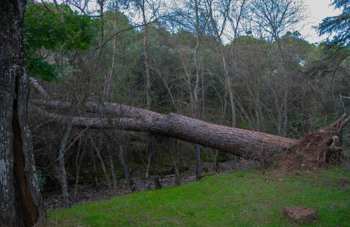 Villamaría, Alma de Despeñaperros - Foto 33