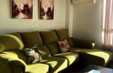 Chulillagreenhouse - Foto 7