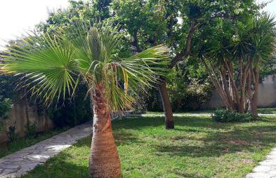 Appartement Pérols Centre - Photo 12