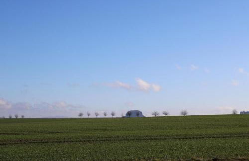 Ferienhof Wiesenblick - Foto 9