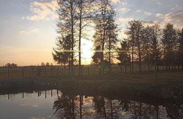 Gospodarstwo Agroturystyczne Irena Naruszewicz - Foto 36