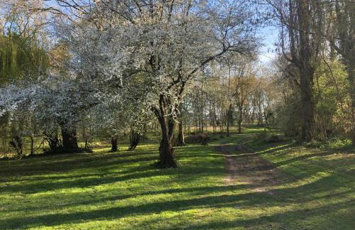Huis op een eiland in de Loire - Photo 30