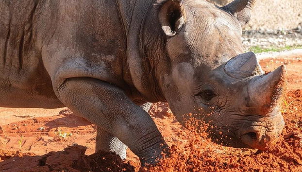 Pase Explorer Go City - Miami - Acceso a un máximo de 5 atracciones - Foto 3