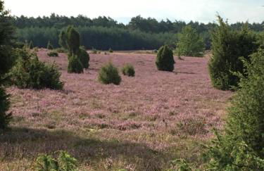 Atelier am Markt - Photo 43