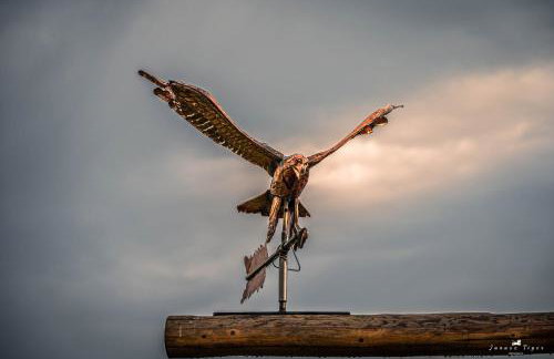 Lipowe Wzgórze Limanowa - Foto 96