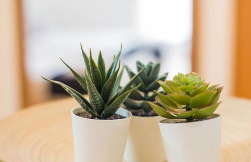 Casas e Quintas de Praia - Foto 21