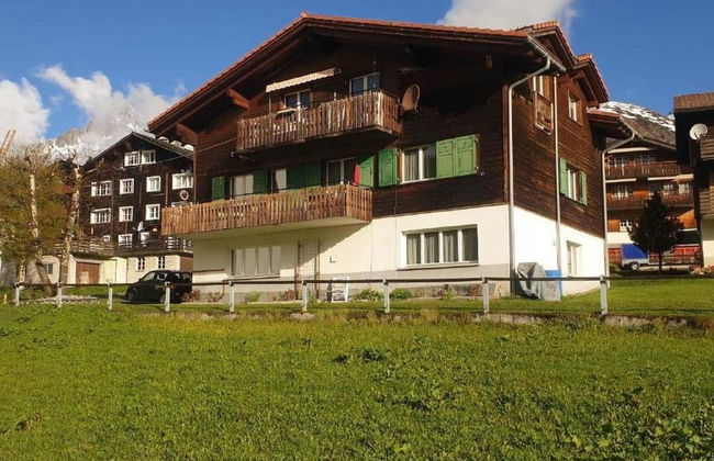 XXXTgèsa Hirundella - Foto 4