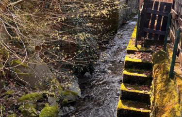 Apartment in Zell an der Mosel - Foto 6