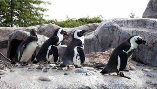 A Luxurious Retreat in Mystic Ct - Foto 5