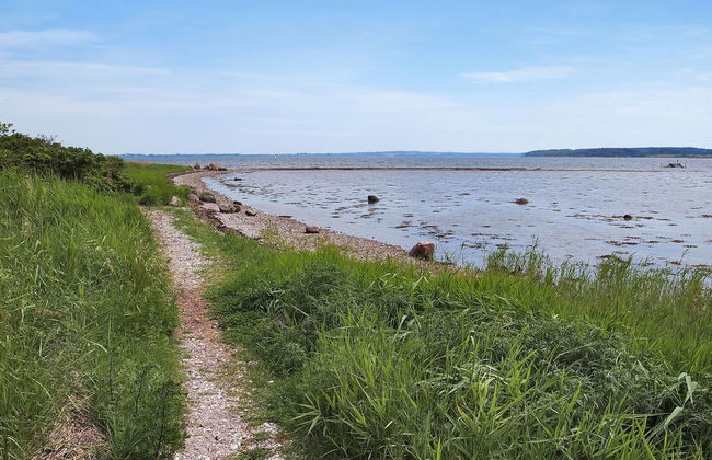 "Jeip" - 400m to the fjord - Foto 13