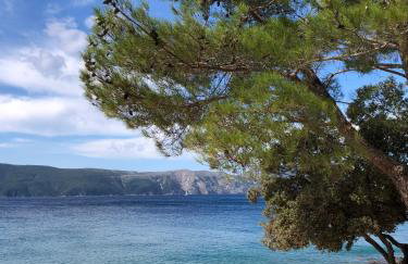 Apartments Bernarda - Foto 45