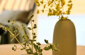 Das grüne Haus - Lörrach - Foto 6