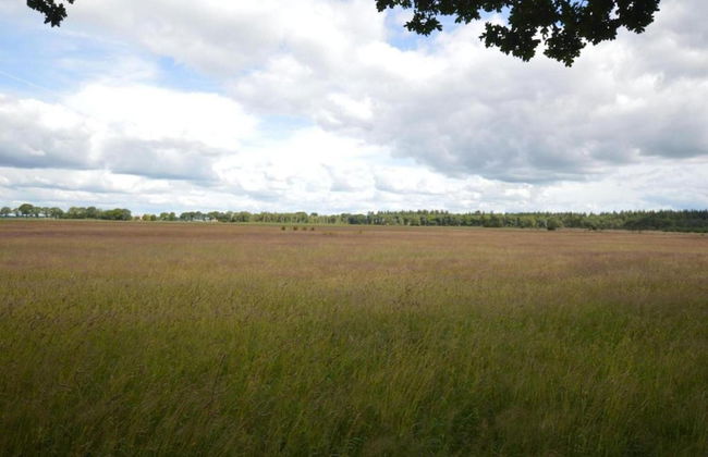 Family Villa + Sauna & Sunroom - Foto 48