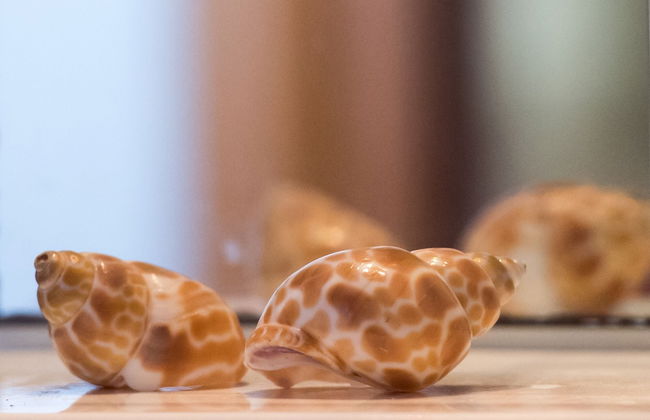 Manoleas Villas - Apartment 4 - Foto 37