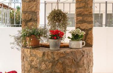 Villa Iole Apartment - Foto 47