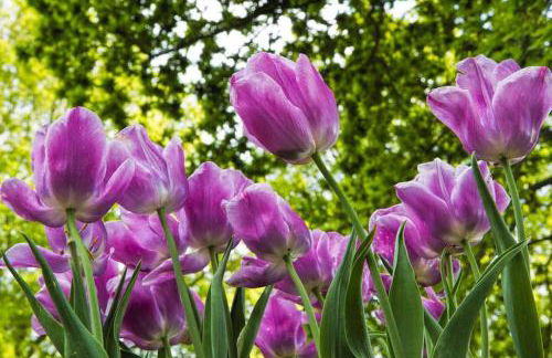 Coach House - Foto 16