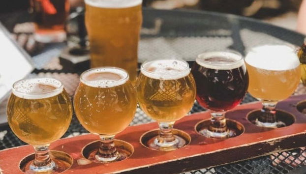 Dégustation artisanale à Teutônia