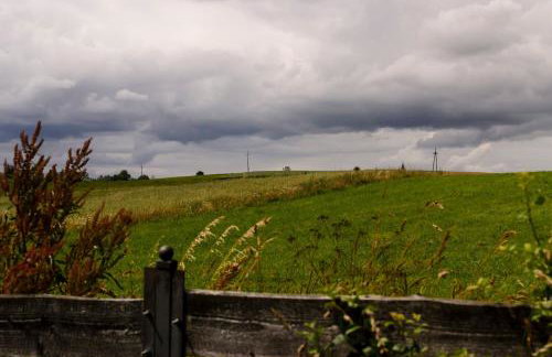 Zakątek Szczęścia Eko Agroturystyka - Foto 68