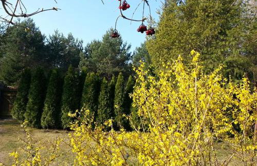 Cztery Pory Warmii Pluski pokoje do wynajęcia - Foto 58