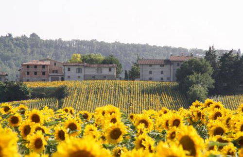 Agriturismo Podere Casenove - Foto 151