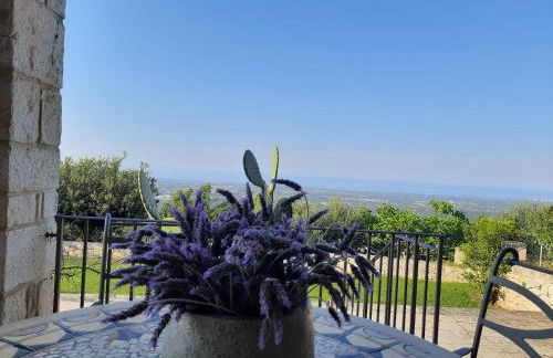 Villa Il Mio Paradiso - Foto 12