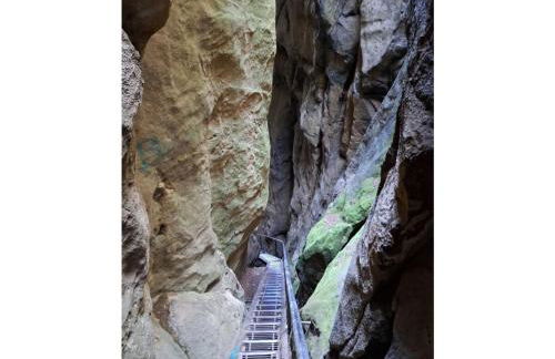 Holiday Apartment FeWo III - Foto 18