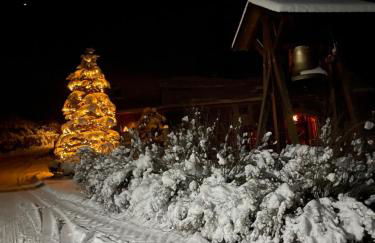 Ferienwohnung-Ferienhaus am Picho - Foto 13