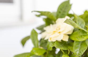 Αnastasia apartments - Foto 47