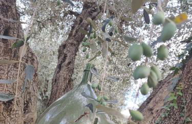 Agriturismo la Canonica - Foto 3