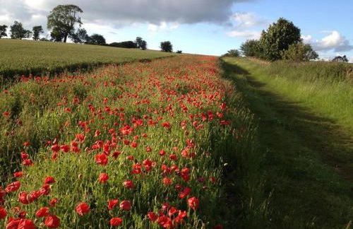 Cotswolds Retreat - Foto 63