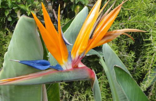 Chiaia Apartments by Caseaponza it - Foto 36