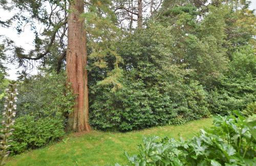 2 Bed in Cemmaes 93078 - Photo 28