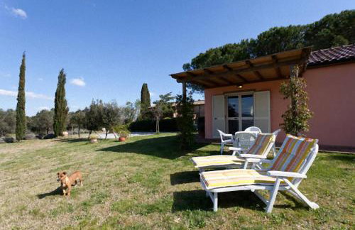 Agriturismo Antico Podere Il Polveraio - Foto 11