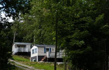 4 sowy Góry Sowie - Foto 1