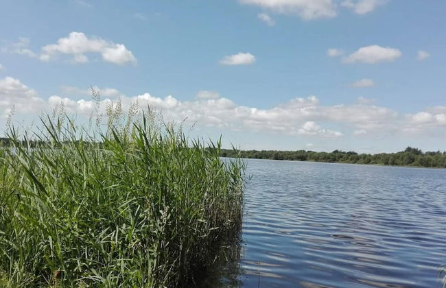 Holiday Home in Ansager - Photo 34