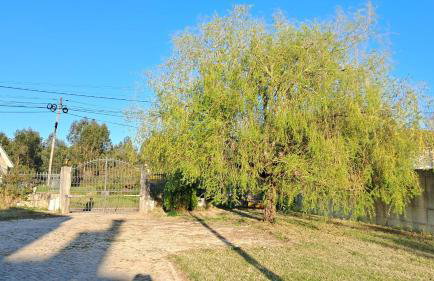 Quinta dos Choupos - Foto 15