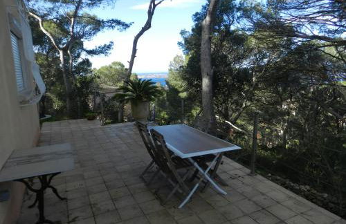 Aqui siem ben - Photo 2