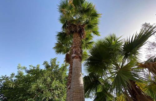 Villa Liman - Foto 20