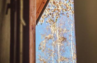 Brzozowy Rożnów - Foto 23