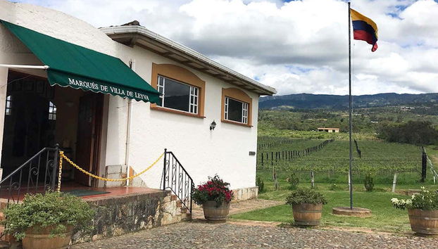 Visit to the Marques Villa de Leyva Vineyard - Foto 2