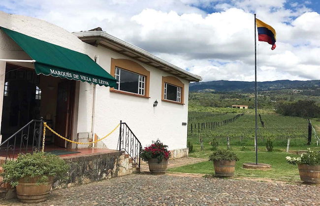 Visit to the Marques Villa de Leyva Vineyard - Foto 2