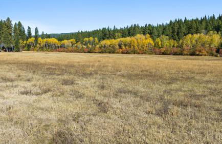 Wildwood Cabin at Suncadia- Hot Tub, Firepit, BBQ, Gourmet Kitchen, Fireplace, Smart TVs, Hi-speed Wi-Fi, Secluded - Foto 59