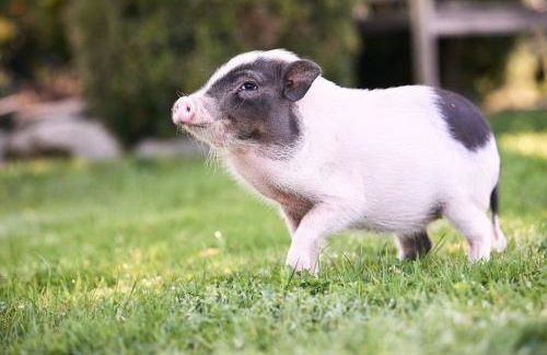 Ferienwohnung Henne - Foto 24