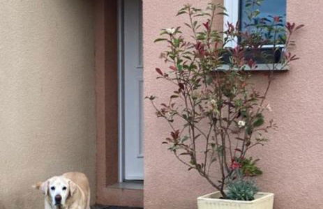 Les villas de Mélody - Foto 9