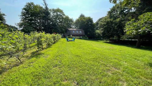 Newly Renovated Carriage House Near Town & Beaches - Foto 3