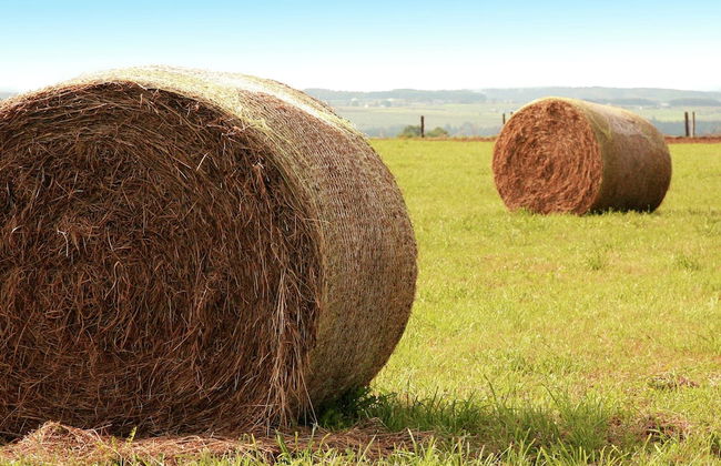 Chalet in Oignies Near French Border - Foto 21