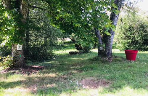 Les Murets du plateau - Foto 28